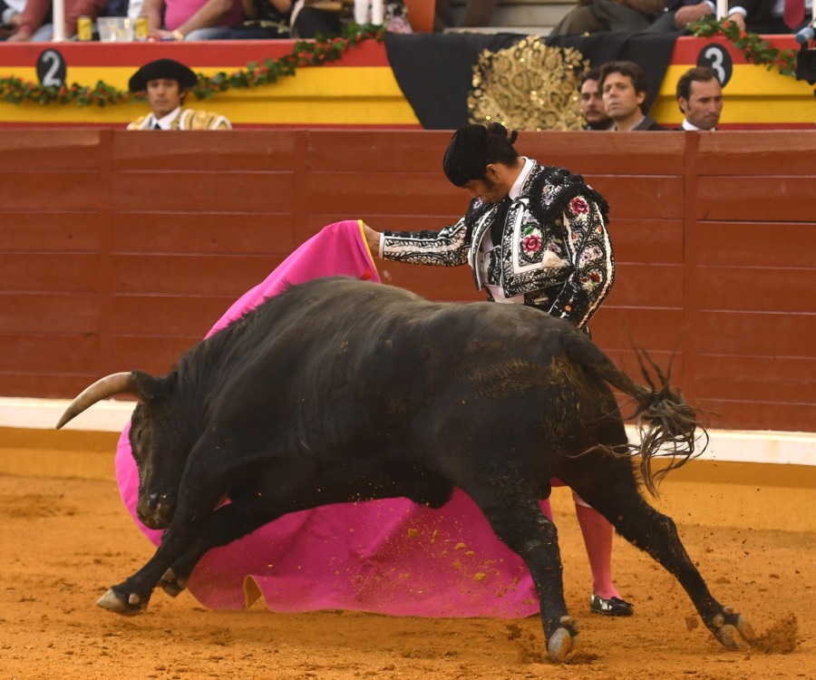 Illescas, sábado 9 de marzo de 2019