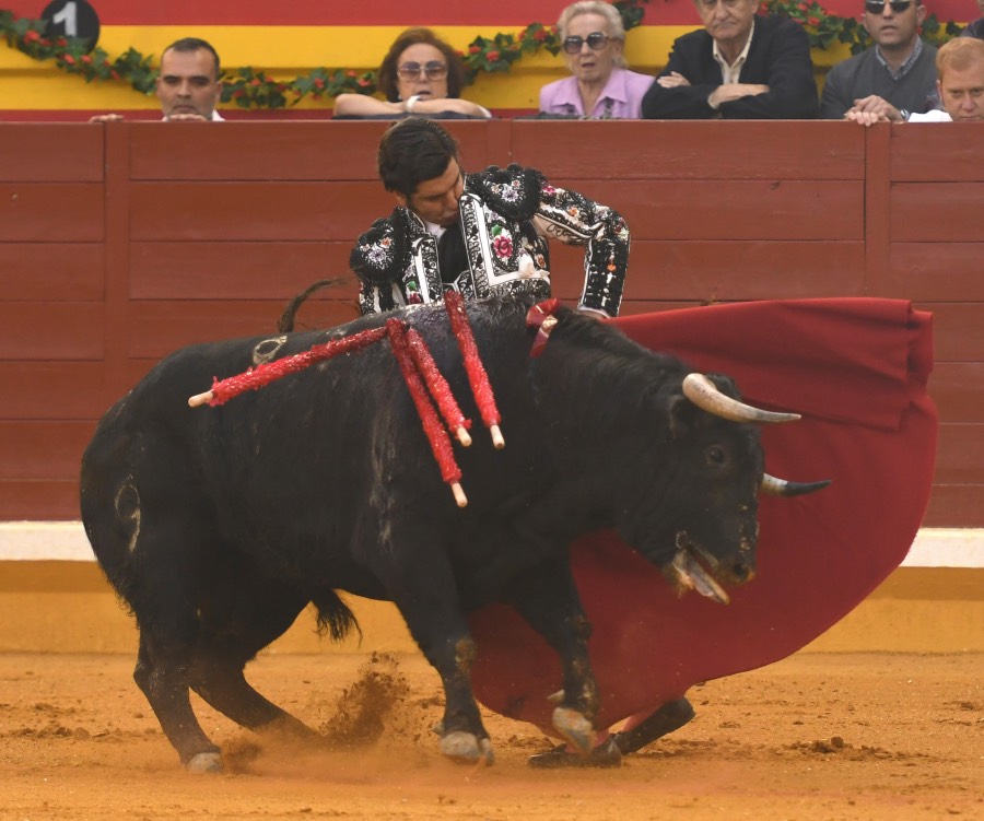 Illescas, sábado 9 de marzo de 2019