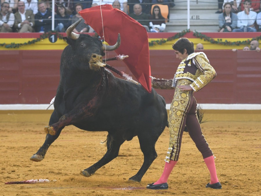 Illescas, sábado 9 de marzo de 2019