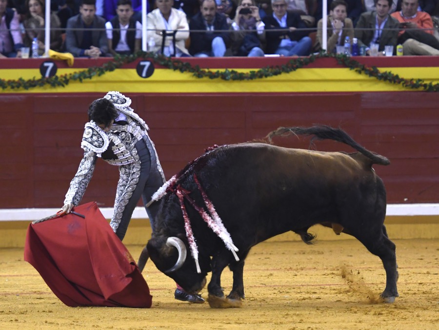 Illescas, sábado 9 de marzo de 2019