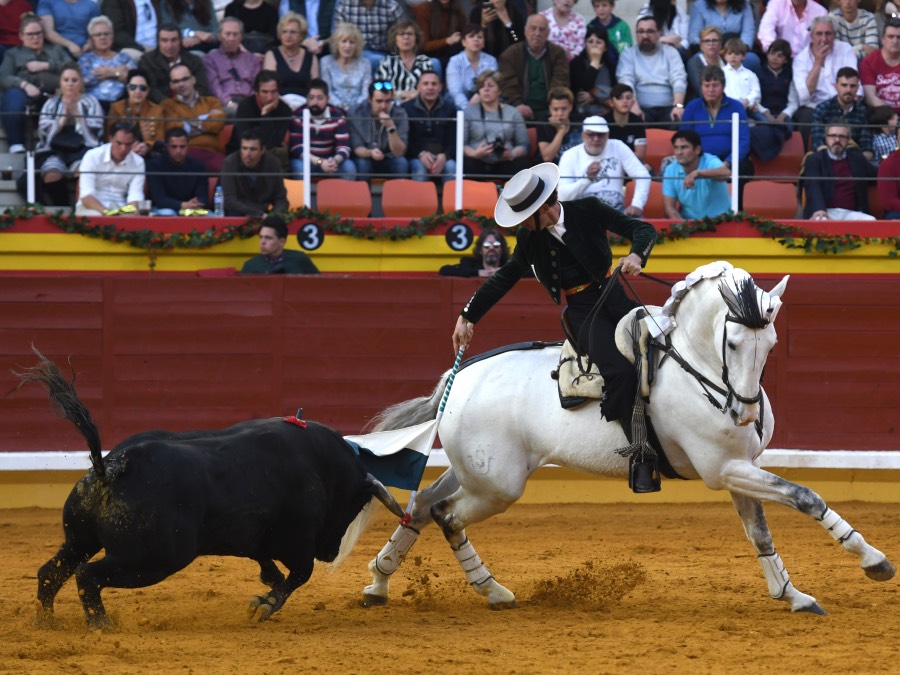 Illescas, domingo 10 de marzo de 2019