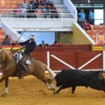 Illescas, domingo 10 de marzo de 2019