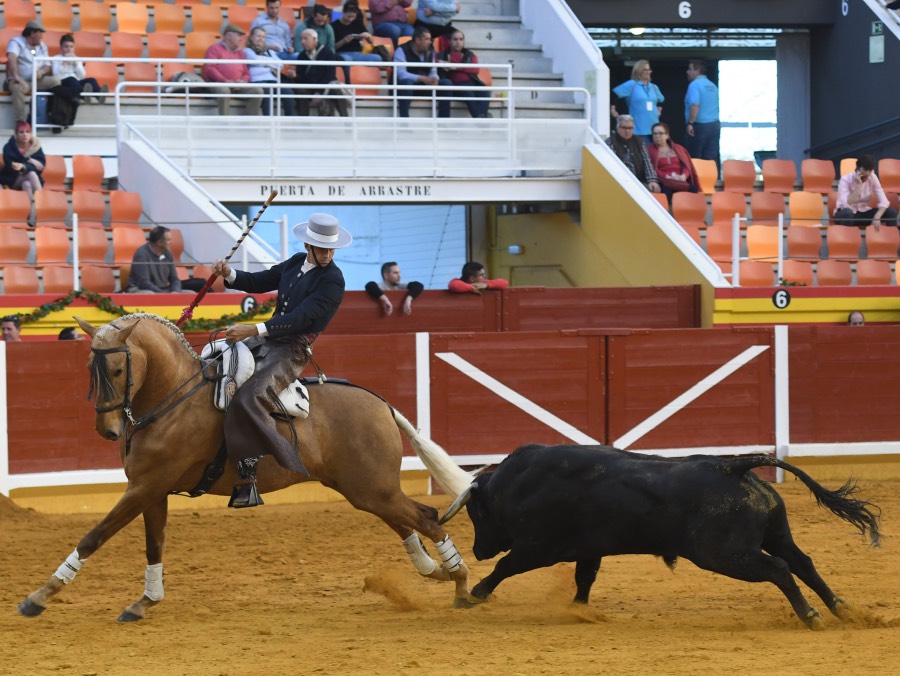 Illescas, domingo 10 de marzo de 2019