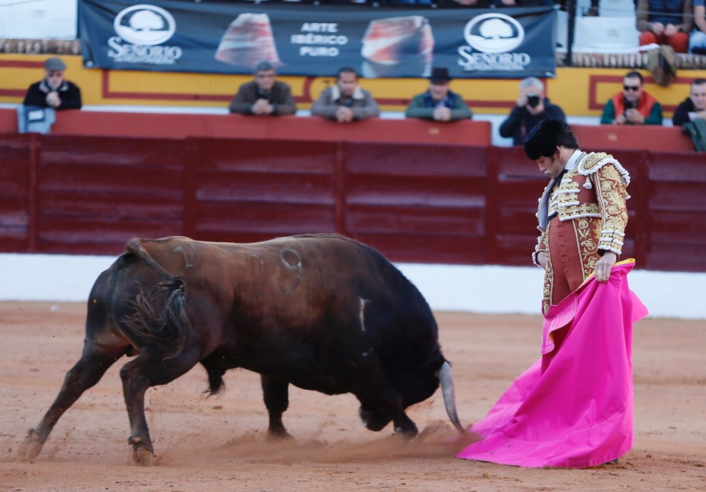 Olivenza, viernes 8 de marzo de 2019