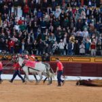 Olivenza, viernes 8 de marzo de 2019