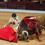 Olivenza, viernes 8 de marzo de 2019