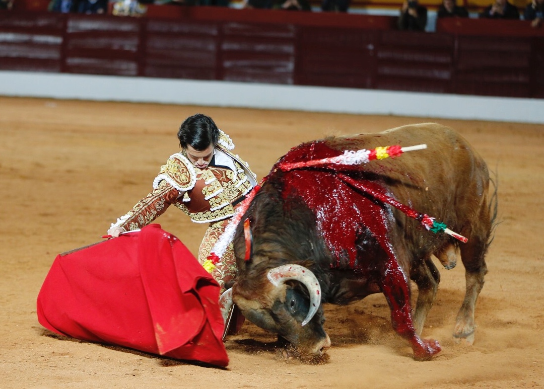 Olivenza, viernes 8 de marzo de 2019