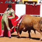 Olivenza, sábado 9 de marzo de 2019. Matinal