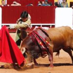 Olivenza, sábado 9 de marzo de 2019. Matinal