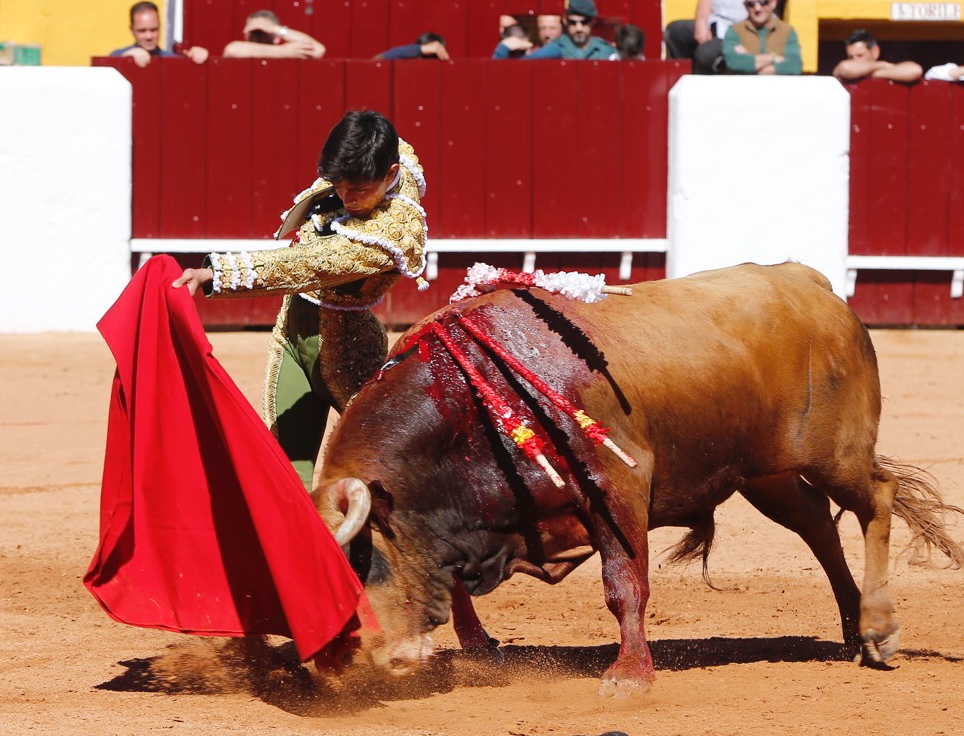 Olivenza, sábado 9 de marzo de 2019. Matinal