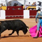 Olivenza, sábado 9 de marzo de 2019. Matinal