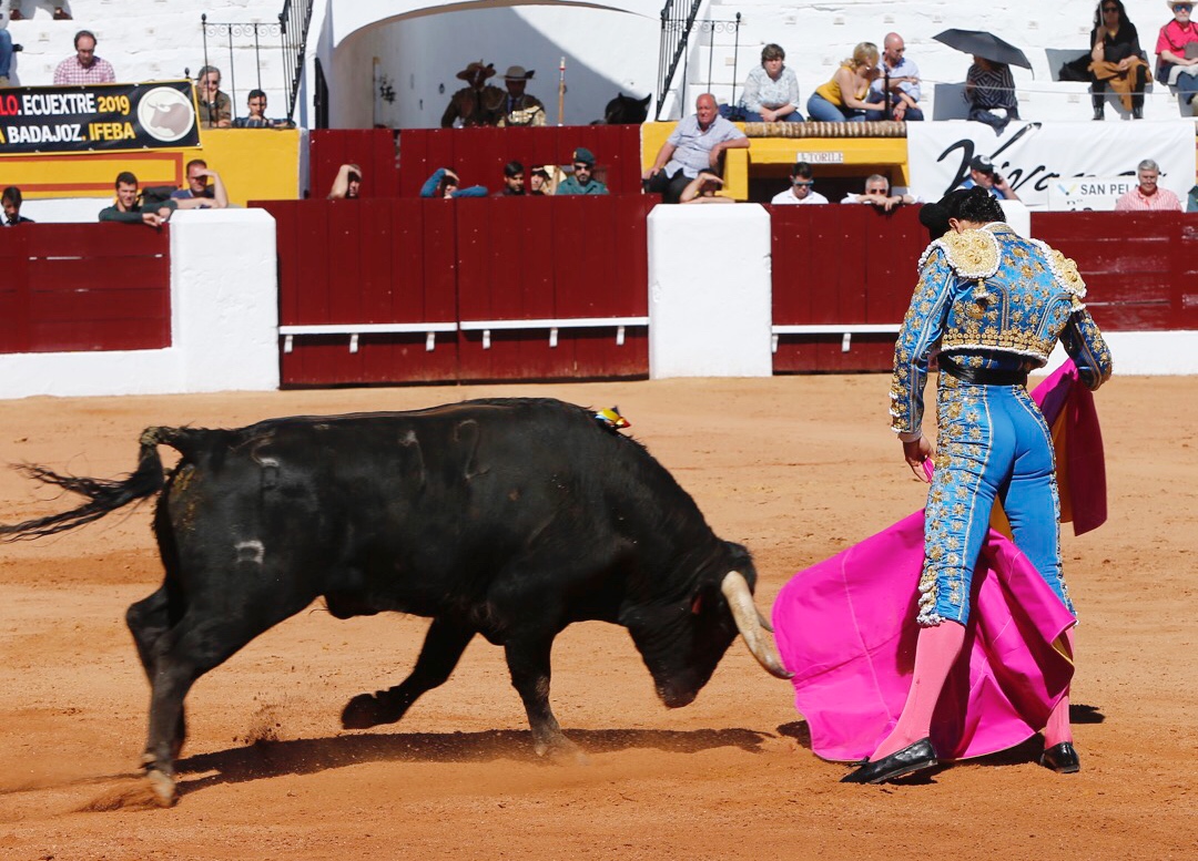 Olivenza, sábado 9 de marzo de 2019. Matinal