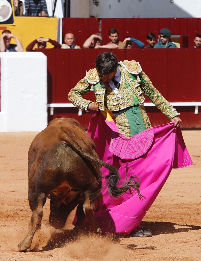 Olivenza, sábado 9 de marzo de 2019. Matinal.