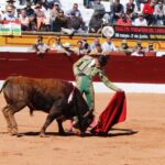 Olivenza, sábado 9 de marzo de 2019. Matinal.