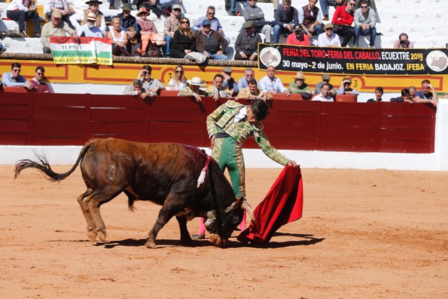 Olivenza, sábado 9 de marzo de 2019. Matinal.