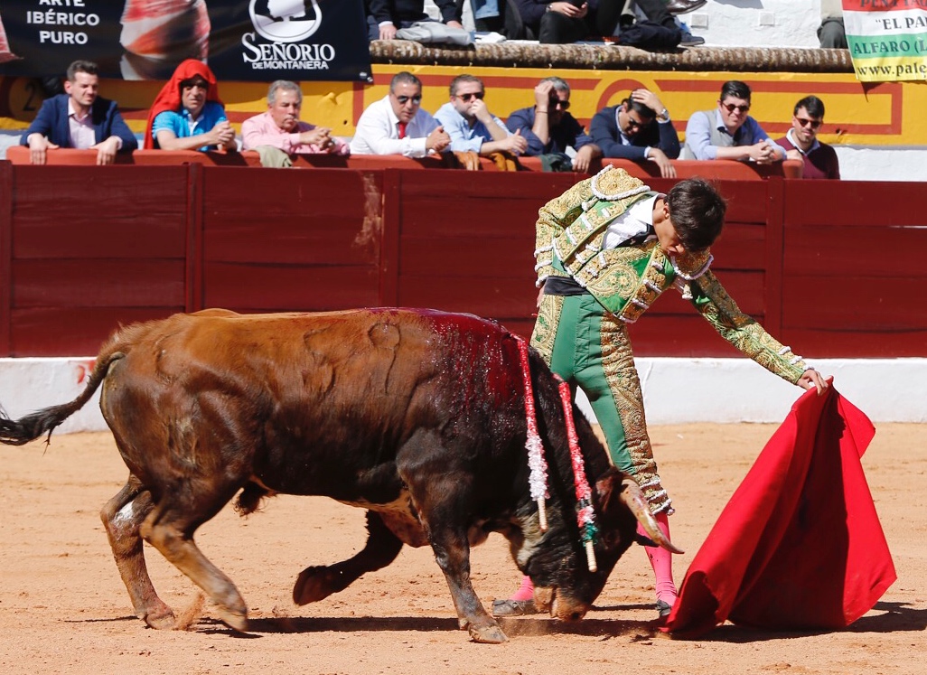 Olivenza, sábado 9 de marzo de 2019. Matinal.