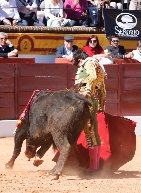 Olivenza, sábado 9 de marzo de 2019. Matinal.