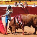 Olivenza, sábado 9 de marzo de 2019. Matinal.