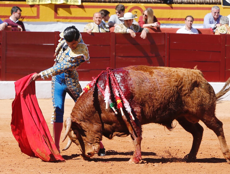 Olivenza, sábado 9 de marzo de 2019. Matinal.