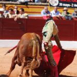 Olivenza, sábado 9 de marzo de 2019. Matinal.