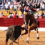 Olivenza, sábado 9 de marzo de 2019. Tarde.