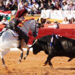 Olivenza, sábado 9 de marzo de 2019. Tarde.