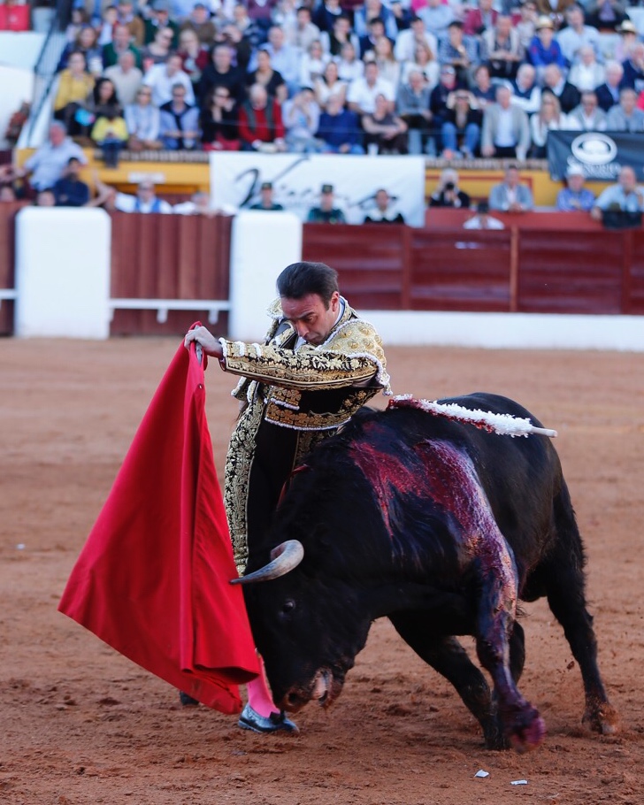 Olivenza, sábado 9 de marzo de 2019. Tarde.