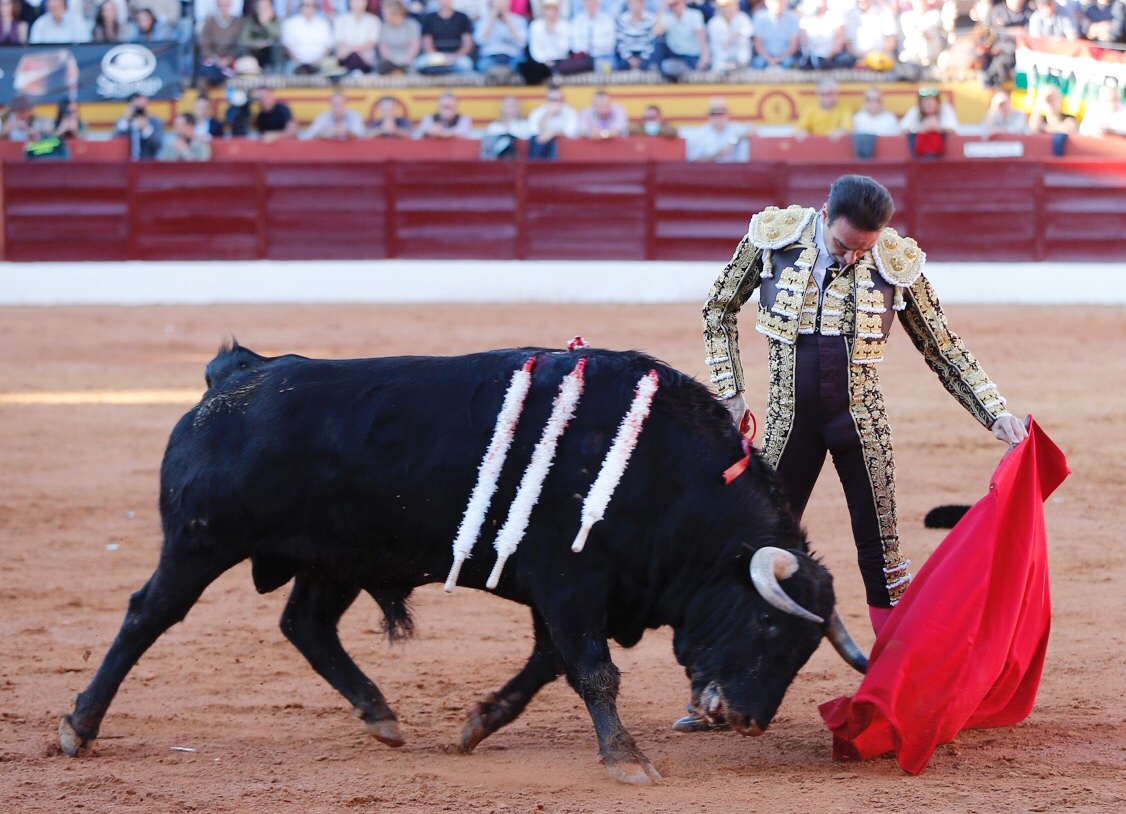 Olivenza, sábado 9 de marzo de 2019. Tarde.