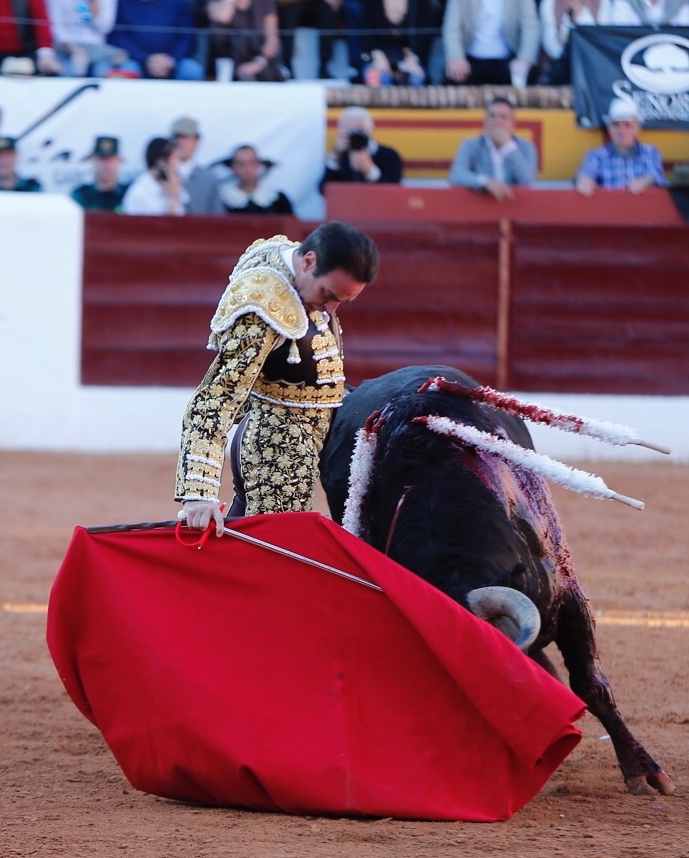 Olivenza, sábado 9 de marzo de 2019. Tarde.