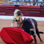 Olivenza, sábado 9 de marzo de 2019. Tarde.