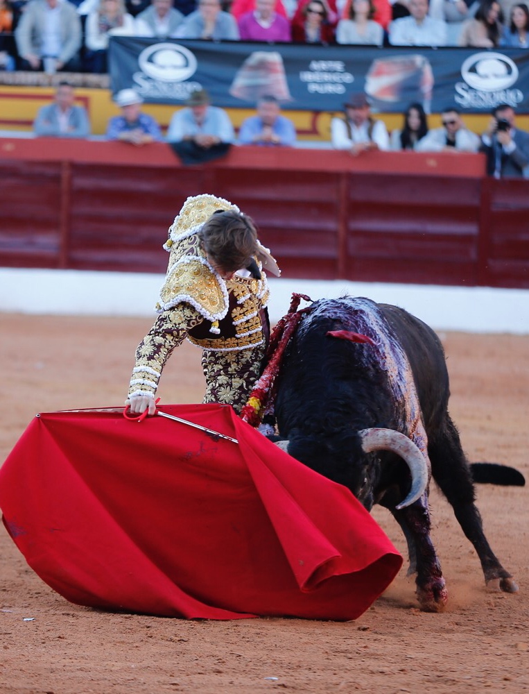 Olivenza, sábado 9 de marzo de 2019. Tarde.