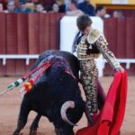 Olivenza, sábado 9 de marzo de 2019. Tarde.