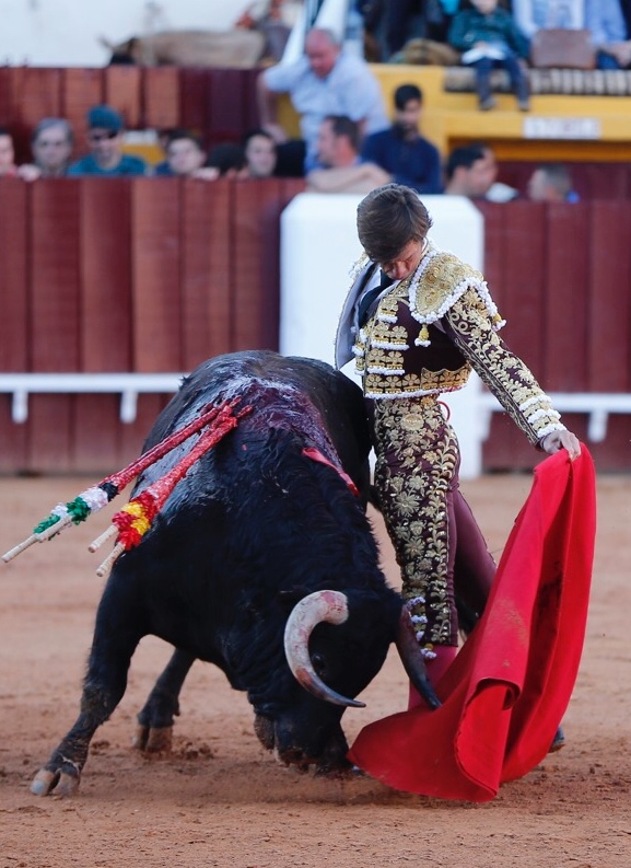Olivenza, sábado 9 de marzo de 2019. Tarde.