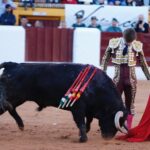 Olivenza, sábado 9 de marzo de 2019. Tarde.
