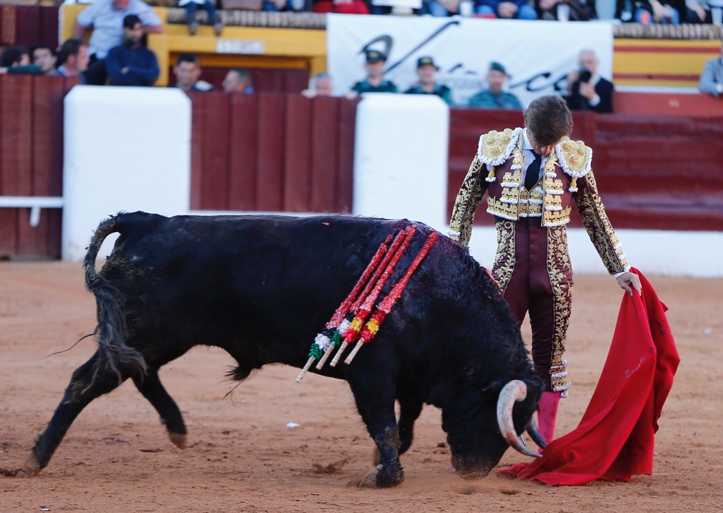 Olivenza, sábado 9 de marzo de 2019. Tarde.