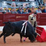 Olivenza, sábado 9 de marzo de 2019. Tarde.