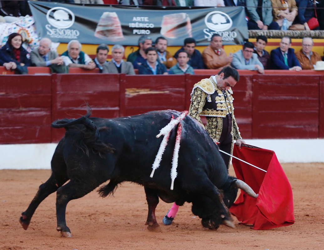 Olivenza, sábado 9 de marzo de 2019. Tarde.