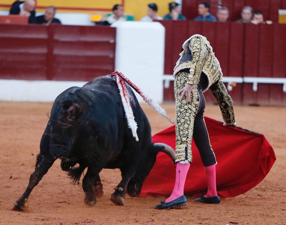 Olivenza, sábado 9 de marzo de 2019. Tarde.