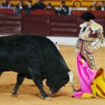 Olivenza, sábado 9 de marzo de 2019. Tarde.