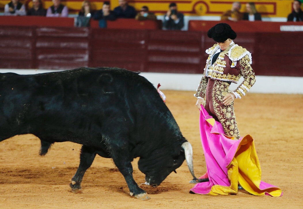 Olivenza, sábado 9 de marzo de 2019. Tarde.