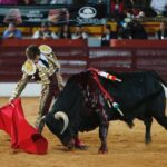 Olivenza, sábado 9 de marzo de 2019. Tarde.