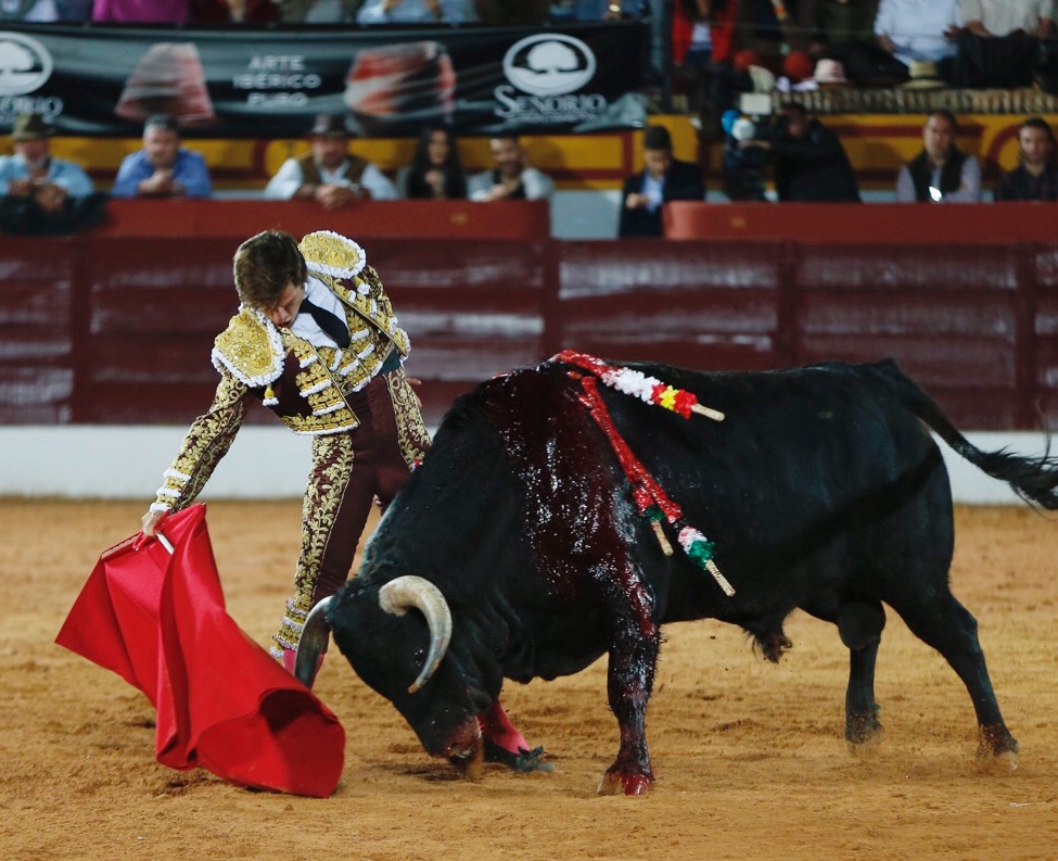Olivenza, sábado 9 de marzo de 2019. Tarde.