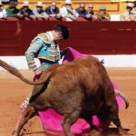 Olivenza, domingo 10 de marzo. Matinal.