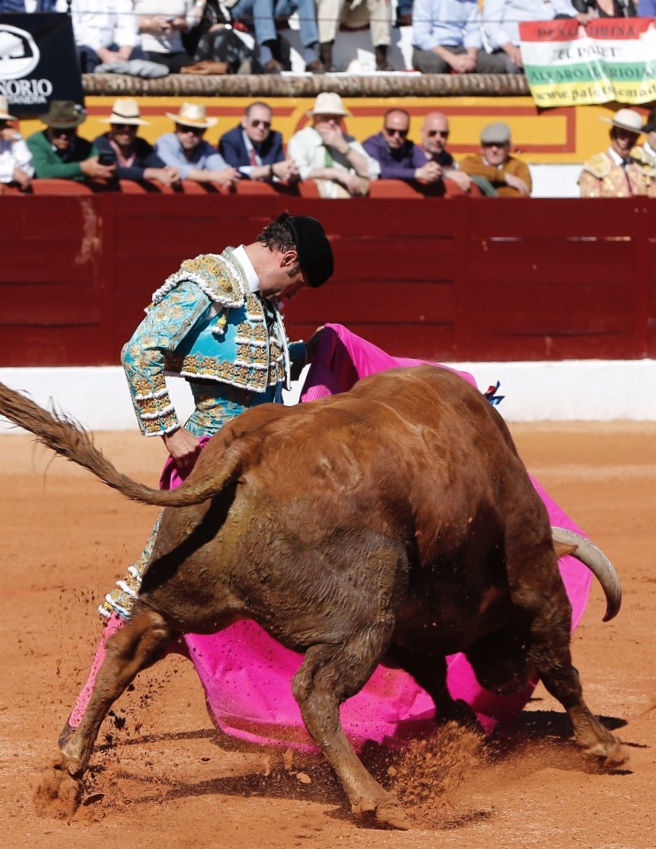 Olivenza, domingo 10 de marzo. Matinal.