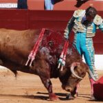 Fotografía de archivo: Olivenza, domingo 10 de marzo. Matinal.