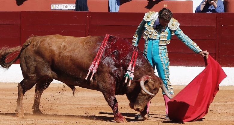 Fotografía de archivo: Olivenza, domingo 10 de marzo. Matinal.