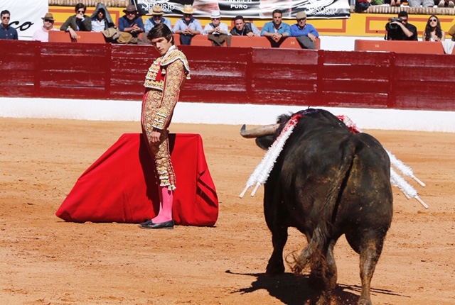 Olivenza, domingo 10 de marzo. Matinal.