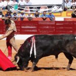 Olivenza, domingo 10 de marzo. Matinal.