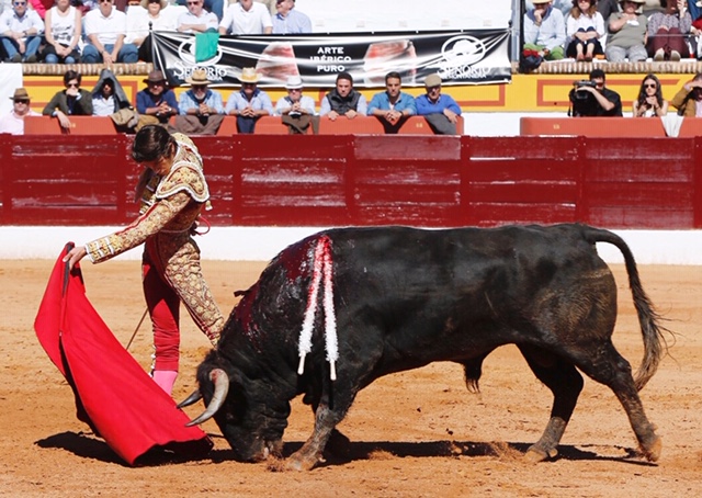 Olivenza, domingo 10 de marzo. Matinal.