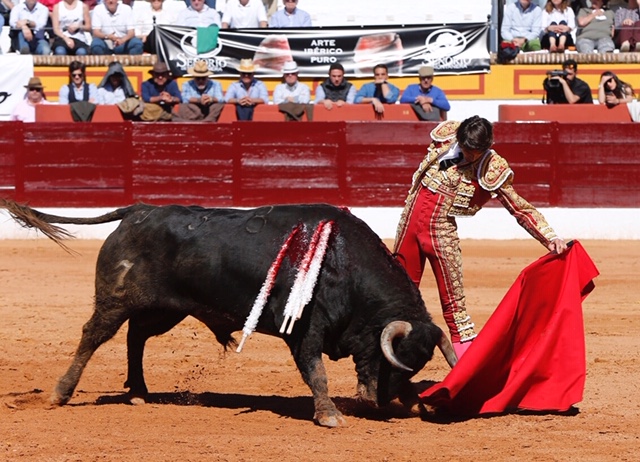 Olivenza, domingo 10 de marzo. Matinal.